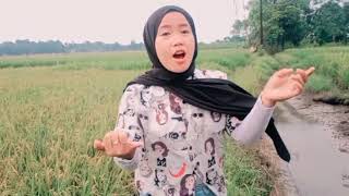 Download lagu Koe tak sayang sayang versi Lampung mp3