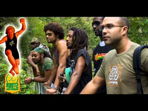 Roots Underground feat. Foona - Herb Fields Dub X-mas give away [only music]