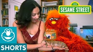 Sesame Street: Science and Nature School  Murray L