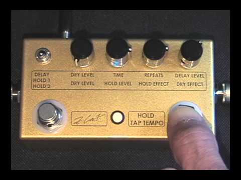 Zcat Hold 2 Gold | Reverb