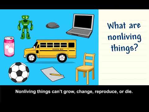 Social Science- Living vs  Non-living Things for Mar. 16th