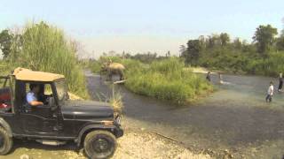 preview picture of video 'Offroad trip through the jungle near Gunanagar 6/14'