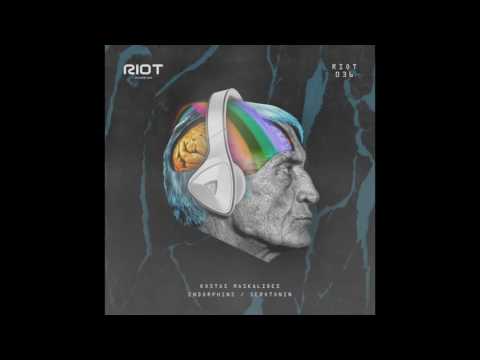 RIOT036 - Kostas Maskalides - Endorphins - Riot Recordings