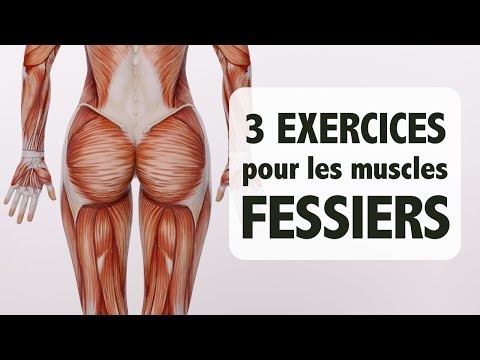 Muscles fessiers: 3 exercices pour les tonifier et renforcer (pour non-athlètes)