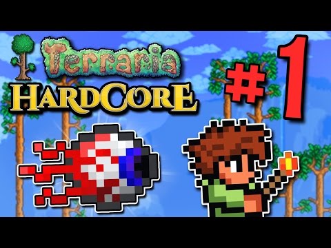 Terraria HC #3! - Part 1 (Ft. ProtonJon, Lucahjin, & Yungtown!)