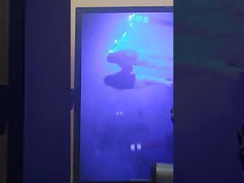 this is sharp productions scary video of them