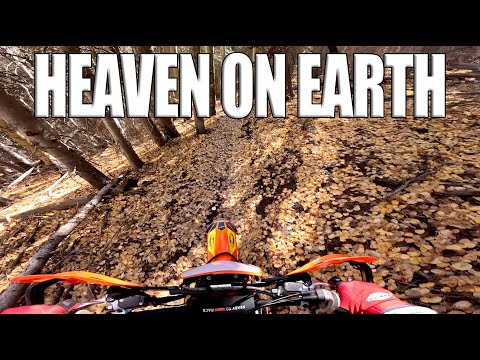 Incredible Fall Ride on KTM 300 Factory Edition