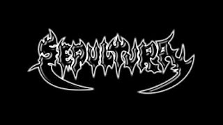 Sepultura: To the wall