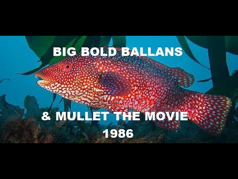 Big Bold Ballan`s & Mullet The Movie Narrated by Bernard Cribbins 1986