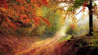 Msica Relaxante para Equilbrio Emocional