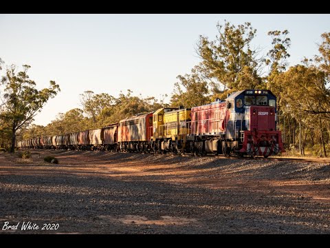 P14 leads T363 and S302 on 9152 SSR grain at Kurting- 10/12/20