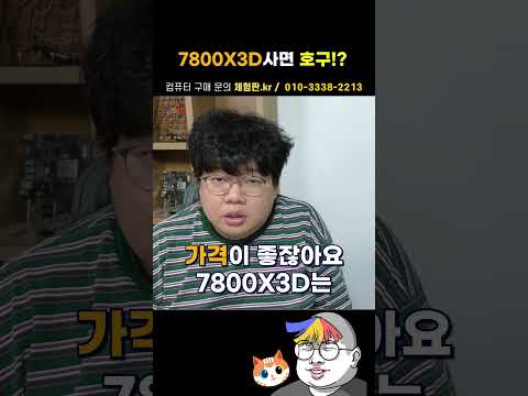 지금 7800X3D 사면 호구!?