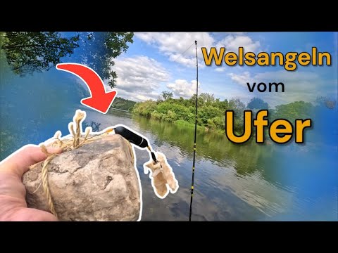 Welsangeln am Neckar mit Calamaris & Steinmontage – So habe ich’s gemacht!