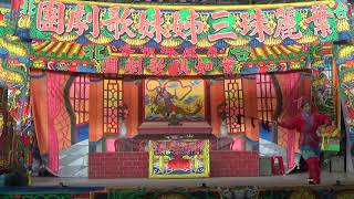 活抓花蝴蝶 2019年10月12日