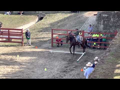 Nicole e Hábil - Maneabilidade- Sénior Internacional