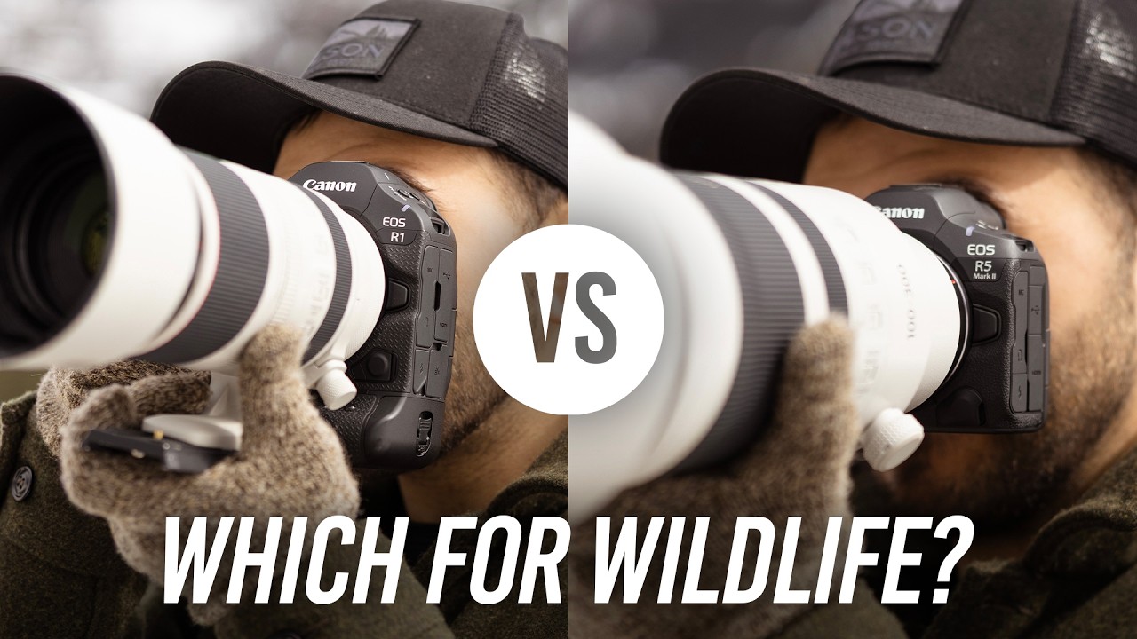 Which of These Canon Cameras is Better for Wildlife?
