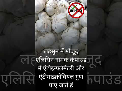 लहसुन बवासीर के रोग में काफी फायदेमंद है   #antipiles #gk #piles #pilesclinic #doctor #bawasir