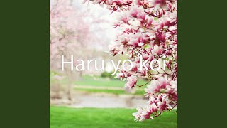 Haru yo koi