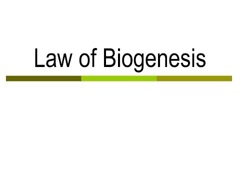 Law of Biogenesis