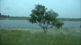 Florence (Crooked Still cover)