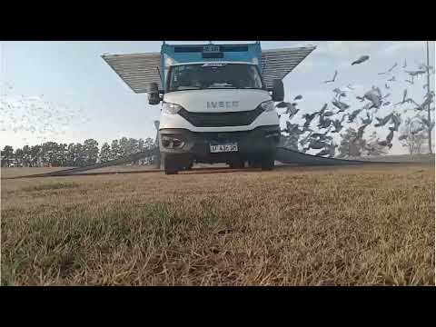 13-07-2025 : Suelta del CIP desde Elisa, Santa Fe