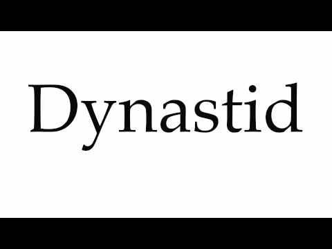 How to Pronounce Dynastid