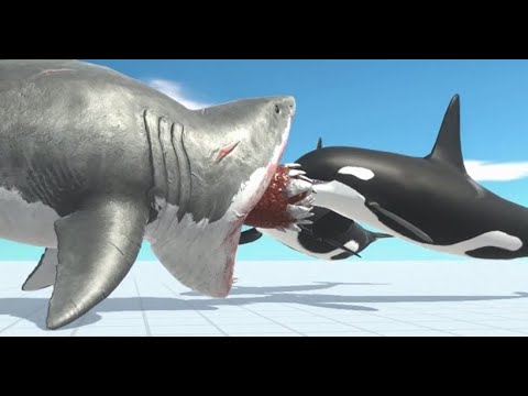 Shark Megalodon vs Baby Orca ARBS Green Mantis vs Scourge Animal Revolt Battle Simulator 1000