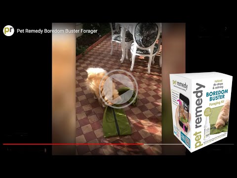 Pet Remedy Boredom Buster Forager