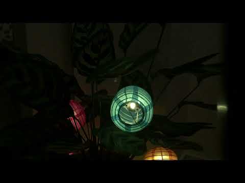 ”Vi tror” by Hillsong Worship❤️