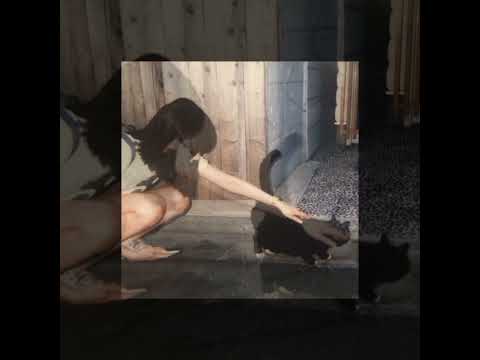 KING -JASE-FEAT.(in-love-but.)😢💔