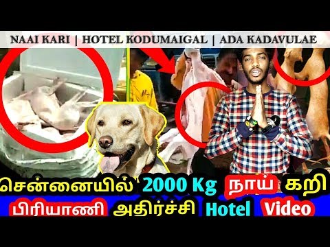 Naai Kari | Hotel Kodumaigal | Strictly for Dog Lovers | Ada Kadavulae