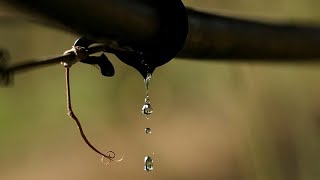 Can Europe’s farmers save the water cycle?