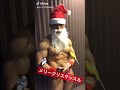 メリークリスマッスル