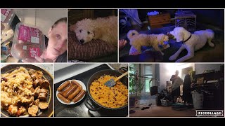 DITL:  Chit Chat, Vet Appt, Cooking... Hanging Around