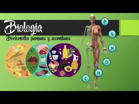 4. Biología - Bioelementos primarios, secundarios y oligoelementos en el ser vivo