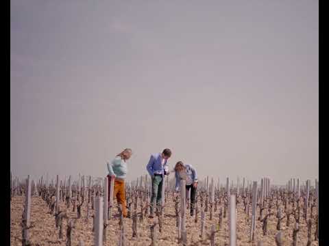 200 Years at Langoa Barton