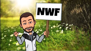 Nonsense Words Fluency | Nonsense Words to Sound Out | NWF (2)