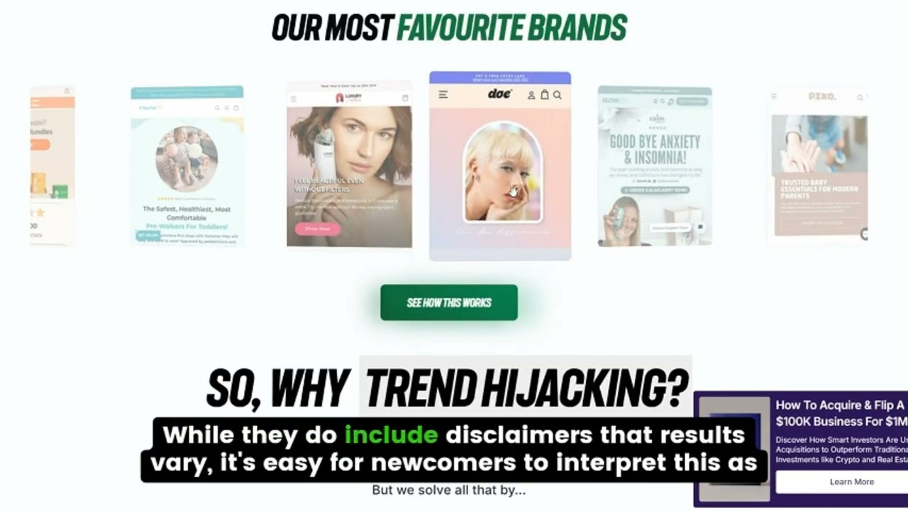 Trend Hijacking Review - E-Com Businesses to Sell