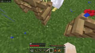 暇だから久しぶりにマイクラでハードコア