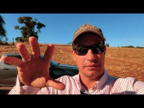 FAZENDA SANTA RITA - CAJURU - CÁSSIA DOS COQUEIROS R$4.100.000,00