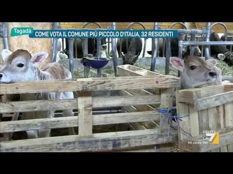 Come vota il comune più piccolo d'Italia