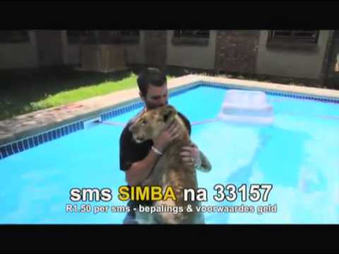 Kwêla Funnies Week 3: Simba