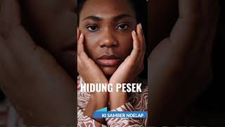 Download lagu SIFAT DAN KARAKTER ORANG YANG HIDUNGNYA PESEK mp3 Download lagu SIFAT DAN KARAKTER ORANG YANG HIDUNGNYA PESEK mp3