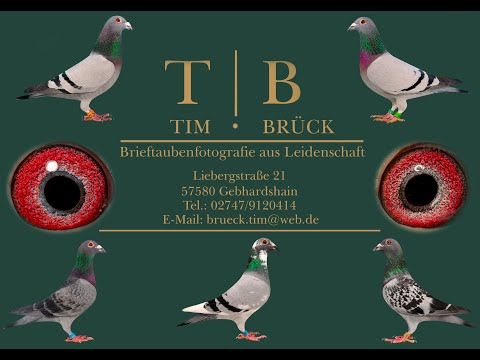 Pos.17 DV 06967-22-857 Special- Auction Oliver Eschenberg