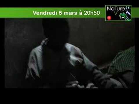 Bande annonce "Le cauchemar de Darwin"