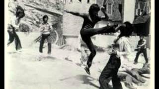 The Phoenecians - Kung Fu State Of Mind