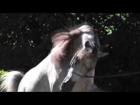 EKS Mansour   30 sec HD