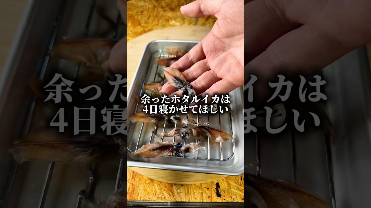 4日寝かせたホタルイカでぼっちめし #shorts