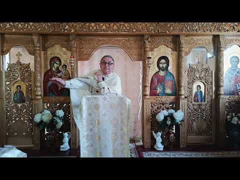 Pr. Nicolae Pavel - Care va fi propozitia vietii tale la sfarsitul vietii?