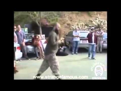 Sage Francis Dance Battle Monkey